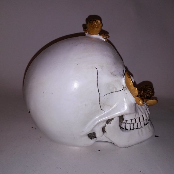 Halloween Decoration Skull Gold Bugs White Creepy Skeleton Head Home Decor Brand - Picture 9 of 13